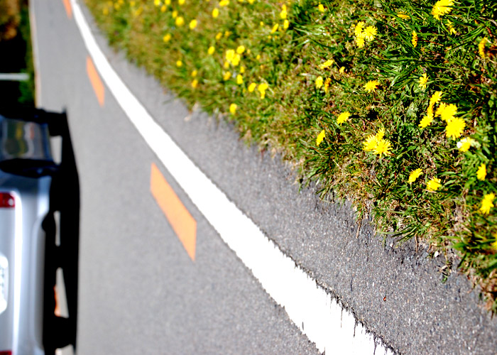 道端に咲くタンポポの色を強調加工した写真素材
