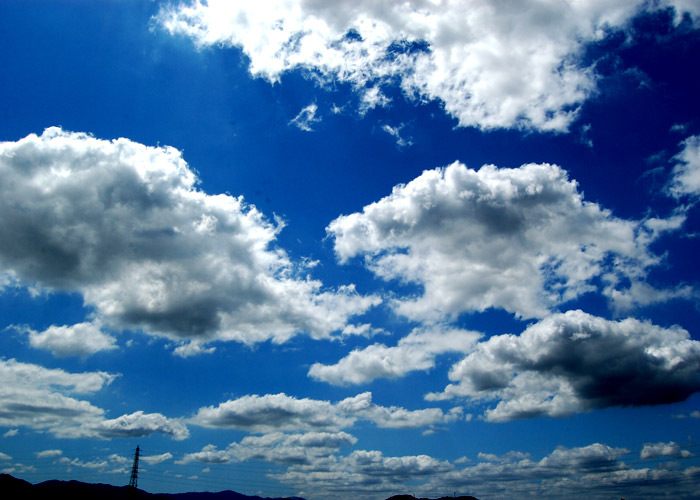 無料ホームページテンプレートの素材屋 空 雲 太陽の風景 空一面のひつじ雲の写真素材